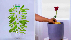 ایده های خلاقانه بانوان | ترفن...