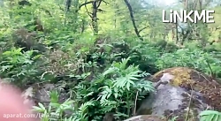 معجزه شکر گزاری روز هفتم