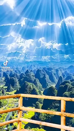 تیک تاک