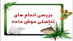اندام های تناسلی موش ماده /ش73/ جانواران مهره دار / فصل 14 علوم نهم /
