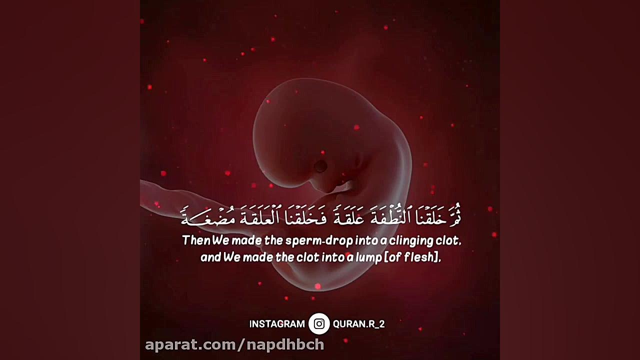 تلاوت رعدالکردی آر اف فرکشنال