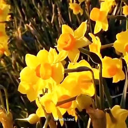 سخنرانی پناهیان کی امام زمان ظ...