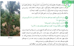 فعالیت صفحه 159 ریاضی دهم تجربی و ریاضی