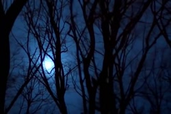 داستان ترسناک کارگاه قسمت ششم...