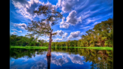 کلیپ آرامش بخش منظره