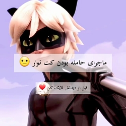 حامله شدن کت جونم