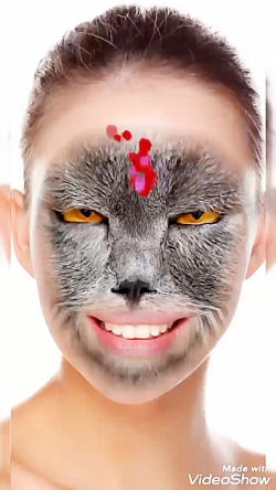 عکس حیوانات