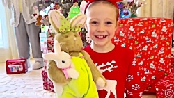 ناستیا استیسی جدید | ماجرای نا...