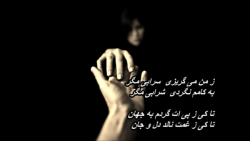 سپنتا مجتهدزاده  ز من می گریزی