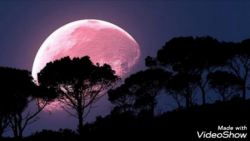 جدیدترین کلیپ عاشقانه استوری و...