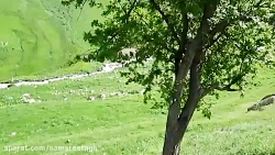 قلقلک چشمه نمارستاق