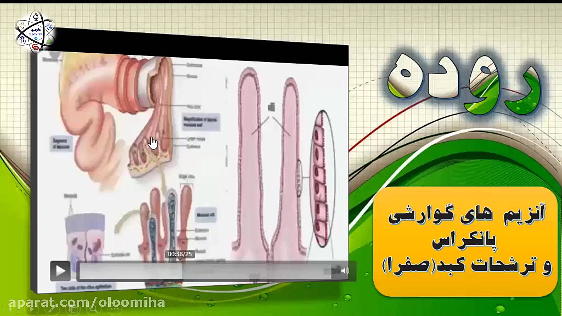 تدریس فصل 13 علوم هفتم(دستگاه گوارش) جراحی لثه