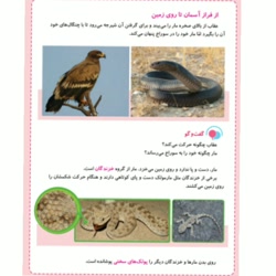 درس سیزدهم علوم پایه سوم دبستان هوشمندخردمندنوین رشت