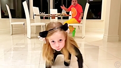 ناستیا استیسی جدید | ماجرای نا...