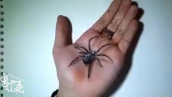 نقاشی سه بعدی حیرت انگیز روی د...