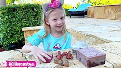 ناستیا استیسی جدید | ماجرای نا...