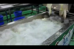 واردات و نصب و فروش و راه اندازی دستگاه شستشوی سبزیجات