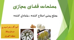 مصلحات فضای مجازی (آموزگار زهر...