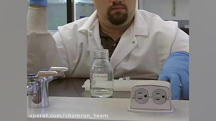 ژنتیک 11: تحلیل متیلاسیون DNA گربه فضایی