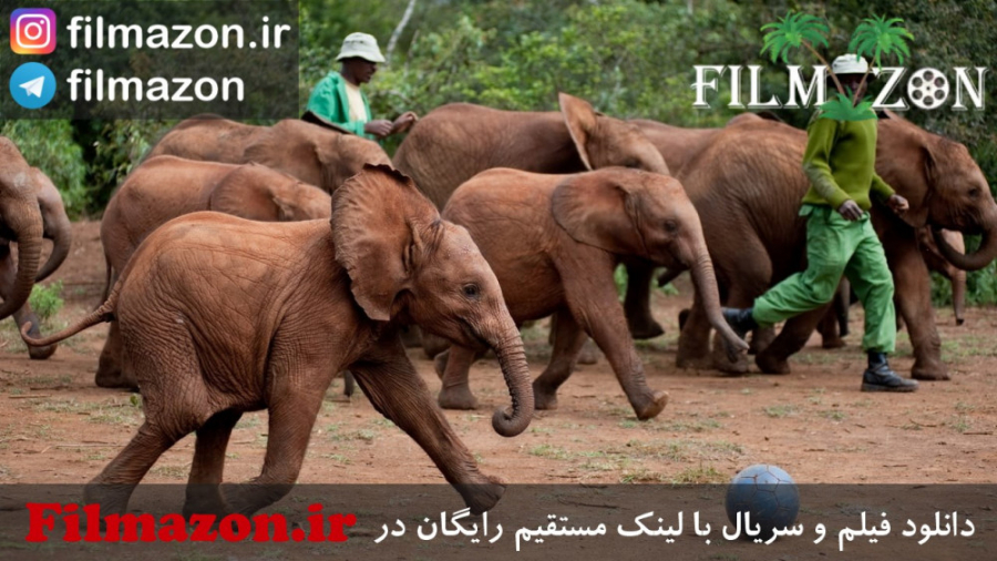 تریلر فیلم Born to Be Wild 2011 زمان172ثانیه