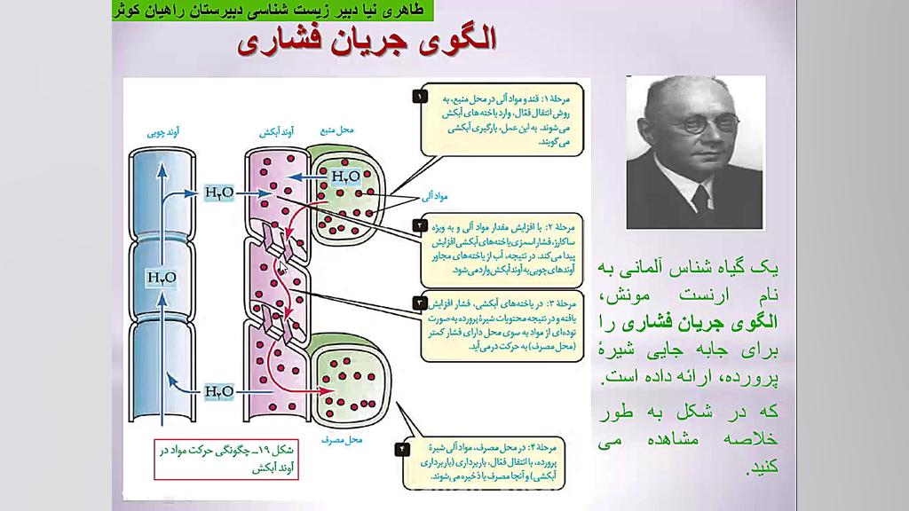 تعریق(زیست دهم فصل7) لیلا طاهری نیا کربوکسی تراپی