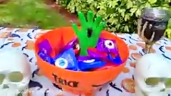 ناستیا استیسی