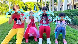 ناستیا استیسی جدید | ماجرای نا...