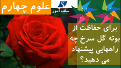 برای حفاظت از بوته گل سرخ چه راههایی پیشنهاد می دهید؟