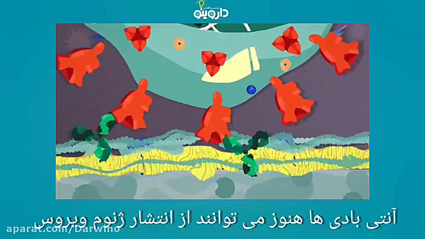 چگونه آنتی بادی ها کرونا ویروس جدید را خنثی می کنند؟ بلیچینگ