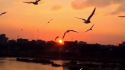 آهنگ زیبا/آرام من