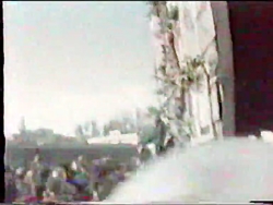 نخل برداری سال 1368