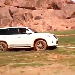 نیسان پیکاپ و تویوتا