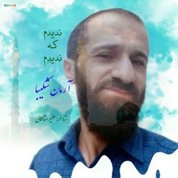 آهنگ آرمان شکیبا به نام ندیدم که ندیدم ( جدیدترین آهنگ ارمان شکیبا )
