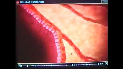 کنکور مشاوره مشاوره تحصیلی