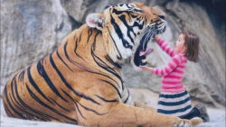 ۱۰ حیوان با بیشترین قدرت آروار...