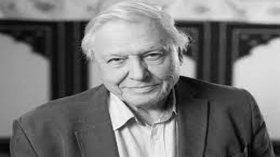 95 ثانیه از 95 سال تلاش | دیوید اتنبرو | David Attenborough زمان104ثانیه