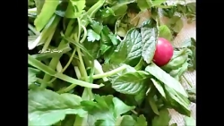 عکسهای شیراز و شعر شکر شیرازی