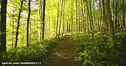 خدا... به همراه طبیعت زیبا