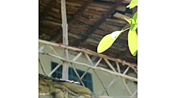 یک روز در روستای خوش&zwnj;سیما...