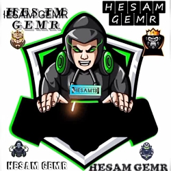 hesam13