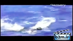 نجات یافته از حمله کوسه