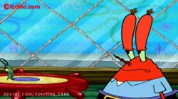 باب اسفنجی خانواده پلانگتون