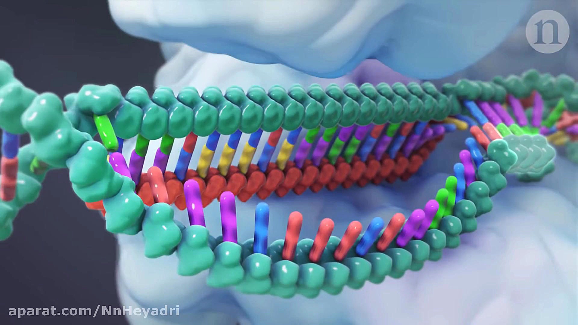 CRISPR - ویرایش ژن و ورای آن شکیل اونیل