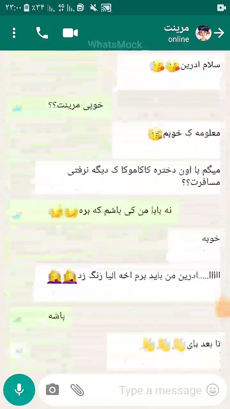 چت ادرین و مرینت