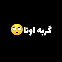 خوابیدن گربه خارجی ها و خوابید...