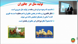 علوم پایه هشتم - فصل 8 (بخش دوم)