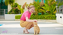 چالش های طراحی خنده دار! بهتری...