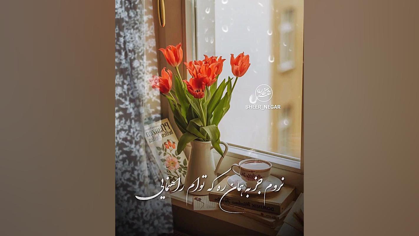 ملکا ذکر تو گویم || آهنگ زیبا || محسن چاوشی || کلیپ خدا || خداوند زمان60ثانیه