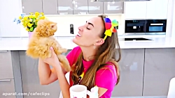 ماجراهای ولاد و نیکیتا  برنامه...