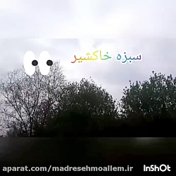 کاشت سبزه خاکشیر خانم غزل حسینی مهر
